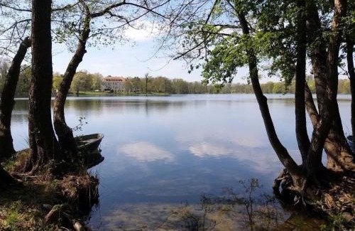 Buelow House | Pet-Friendly Retreat at Ferienhaus Altes Kabinett