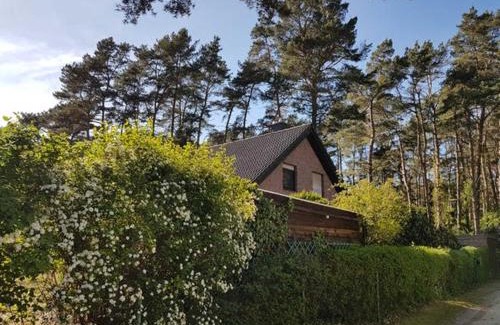 Lubmin House | Family-Friendly Getaway at Ferienhaus am Dünenwald