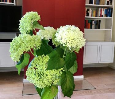 Bayreuth House | Family-Friendly Ferienhaus am Park with Pet Amenities