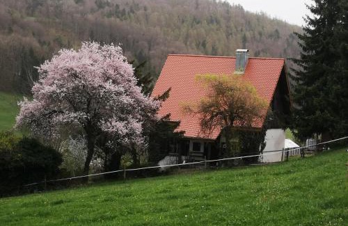 Mauchen House | Pet-Friendly Ferienhaus Aschoff with Oceanfront Views