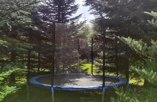 Ilsenburg House | Enjoy Family-Friendly Stays at Ferienhaus Birkholz Harz