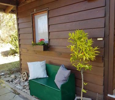 Oberzent House | Family-Friendly Ferienhaus Bussard with Pet Amenities