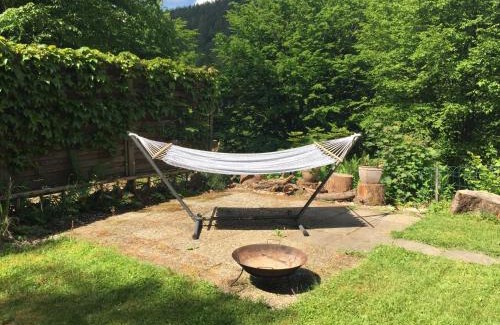 Oberzent House | Family-Friendly Ferienhaus Bussard with Pet Amenities