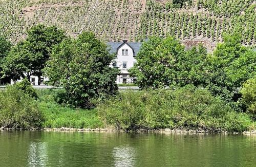 Bremm Apartment | Discover Ferienhaus Calmont: Guest Rated 9/10 Stay