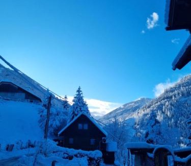 Grosssoelk House | Chalet Großsölk: Pet-Friendly Retreat with Ocean Views
