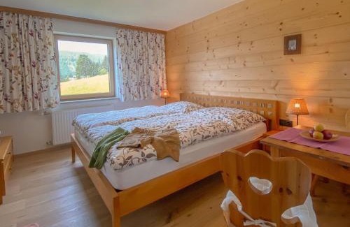 Filzmoos House | Ferienhaus Dachsteinheim