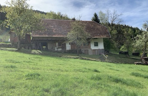 Elzach Apartment | Relaxing Ferienhaus Hederle3: Spacious Retreat for 8 Guests