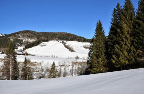 Turnau House | Pet-Friendly Getaway at Ferienhaus Dirnbacher Hütte