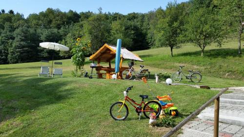 Neuhaus am Klausenbach House | Discover Ferienhaus Dreiländereck: Rated 9.6/10, Family-Friendly