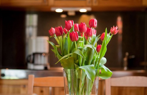Lubbenau/Spreewald House | Romantic Getaway in Lübbenau: Cozy Retreat for Two