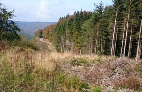 Silbach House | Ferienhaus für 14 Gäste mit 200m² in Winterberg-silbach
