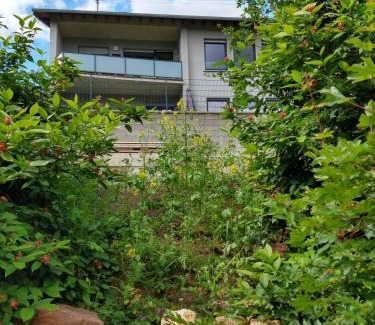 Bollendorf-Pont House | Family-Friendly Getaway at Ferienhaus Fräulein Frenz