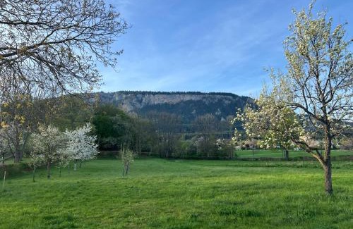Hoflein an der Hohen Wand Apartment | Family-Friendly Ferienhaus Höflein with Top Guest Rating 9.4