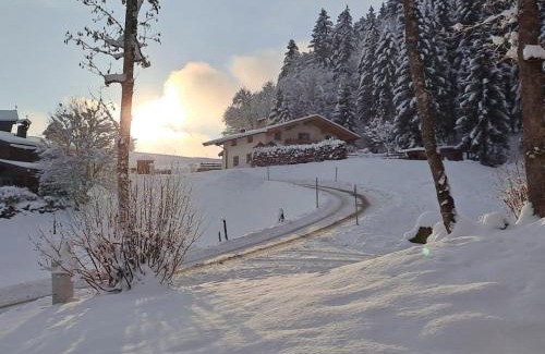 Going am Wilden Kaiser Apartment | Child-Friendly Retreat at Ferienhaus Hansl - 4 Star Stay