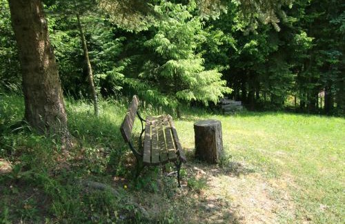 Stolberg House | Family-Friendly Ferienhaus Haus am Wald with Top Amenities