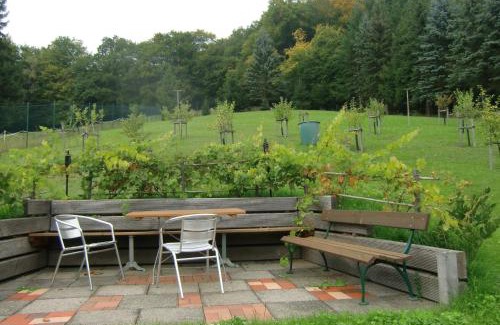 Stolberg House | Family-Friendly Ferienhaus Haus am Wald with Top Amenities
