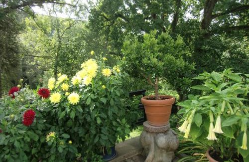 Stolberg House | Family-Friendly Ferienhaus Haus am Wald with Top Amenities