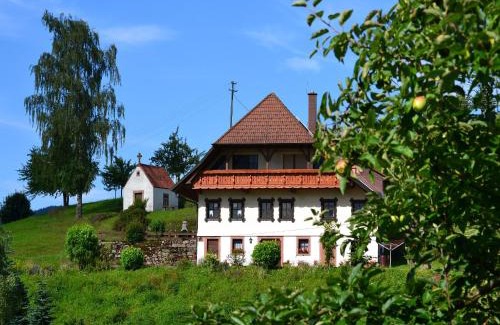 Oberharmersbach Apartment | Family-Friendly Ferienhaus Hubhof with Pool & Breakfast