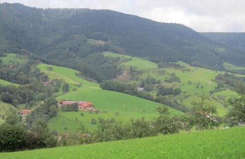 Oberharmersbach Apartment | Family-Friendly Ferienhaus Hubhof with Pool & Breakfast