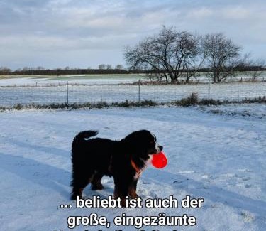 Niebuell House | Discover Ferienhaus Kömhuus: Oceanfront, Pet-Friendly Escape