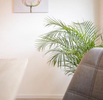 Surheide House | Family-Friendly Ferienhaus KÜSTENKIND with Pool & 9.2 Ratings