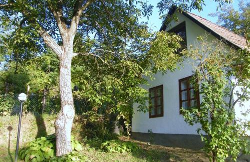 Dobrokoz House | Family-Friendly Ferienhaus Leitenhof with Pet Amenities