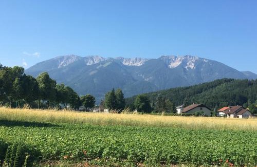 Feistritz ob Bleiburg Apartment | Beautiful Ferienhaus Miklin with Pool & Child-Friendly Atmosphere