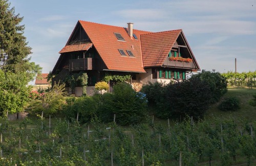 Grassnitzberg House | Exceptional Ferienhaus Neubauer: Pet Friendly & Family Ready