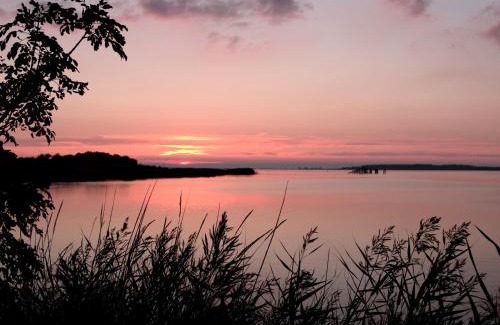 Schwarbe House | Discover Family-Friendly Ferienhaus Nordstrand - Highly Rated!