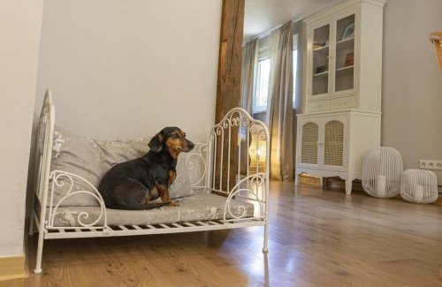 Biberach an der Riss House | Riverside Retreat: Ferienhaus Pure Jagst with Cozy Fireplace