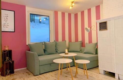 Mildenau House | Pet-Friendly Retreat at Ferienhaus Rauschenbachmühle