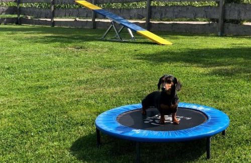 Blaufelden House | Explore Ferienhaus S'bunde Heisle: Family & Pet Friendly Stay