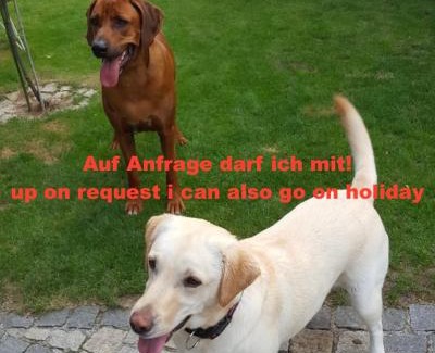 Altmuenster Apartment | Pet-Friendly Ferienhaus Schiemel with Ocean Views & Hot Tub