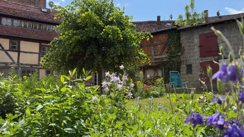 Werben House | Oceanfront Retreat at Ferienhaus St. Johannis - Guest Rated 9/10
