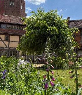 Werben House | Oceanfront Retreat at Ferienhaus St. Johannis - Guest Rated 9/10