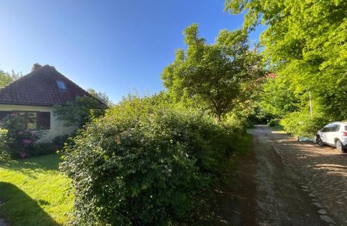 Hoesseringen House | Ferienhaus Tätendorf für die ganze Familie