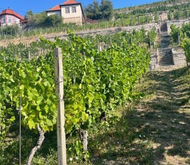 Freyburg House | Discover Ferienhaus Traminer: Top-Rated Wine Country Retreat