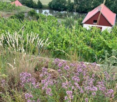 Freyburg House | Discover Ferienhaus Traminer: Top-Rated Wine Country Retreat