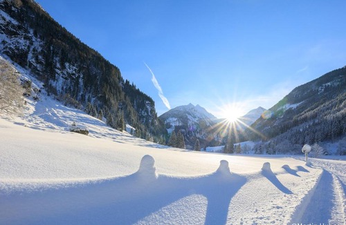 Rohrmoos-Untertal Ski Chalet | Tranquil Ferienhaus Trinker: Pet Friendly with Hot Tub