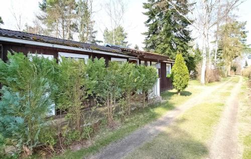 Bellin House | Pet-Friendly Retreat at Ferienhaus Ueckermnde Bellin