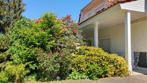 Eichenzell House | Pet-Friendly Villa am Eck: Guest Rated 9.2/10 Experience
