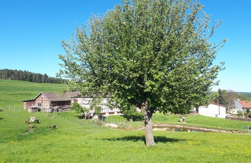 Trockenborn-Wolfersdorf Apartment | Cozy Ferienhof "Zum Waldblick" - Family-Friendly Getaway