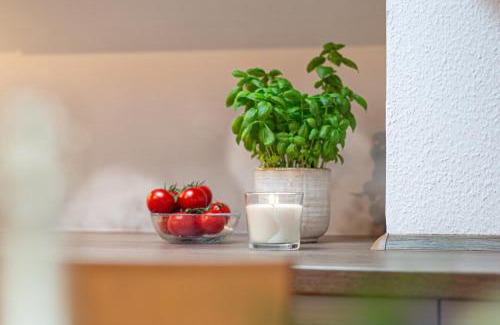 Wenkendorf Apartment | Pet-Friendly Ferienhof Marquardt with Oceanfront Pool