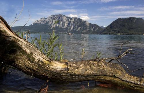 Unterach am Attersee House | Relax at Ferienhof Margarethengut: Oceanfront Escape