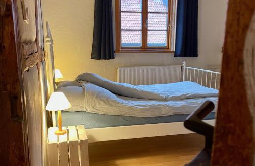 Wittendorp Apartment | Discover Ferienhof Rauchhaus: Pet-Friendly Family Retreat