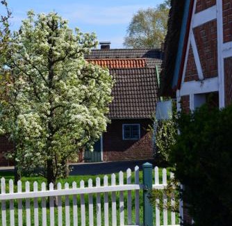 Jork Apartment | Pet-Friendly Oceanfront Retreat at Ferienhof tom Diek