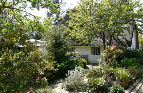Jork Apartment | Pet-Friendly Oceanfront Retreat at Ferienhof tom Diek