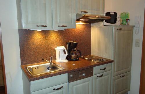 Medraz Apartment | Guest Rated 10/10 at Ferienlandhaus Höfer with Hot Tub