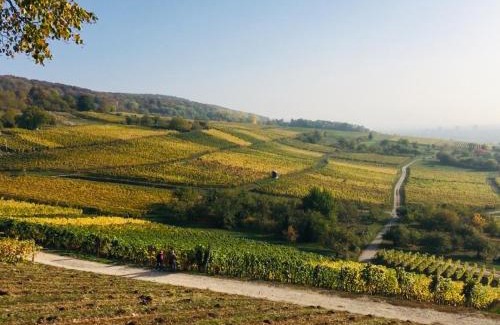 Binzen Apartment | Discover Ferienloft in der blauen Scheune - Rated 9.1/10!