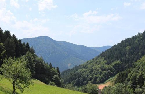 Altsimonswald Apartment | Discover Family-Friendly Ferienparadies Hugenhof, Rated 9.1
